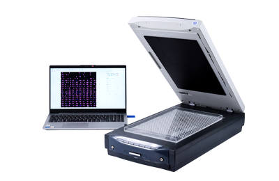 大米外观品质检测仪：确保检测准确性的关键操作规范